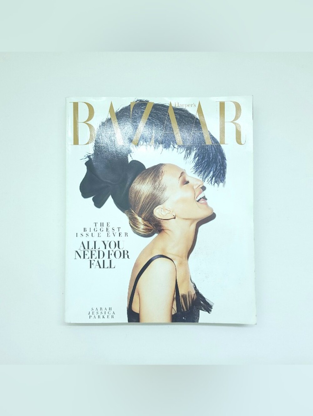 Harper's Bazaar September 2013 Sarah Jessica Parker Big Issue
